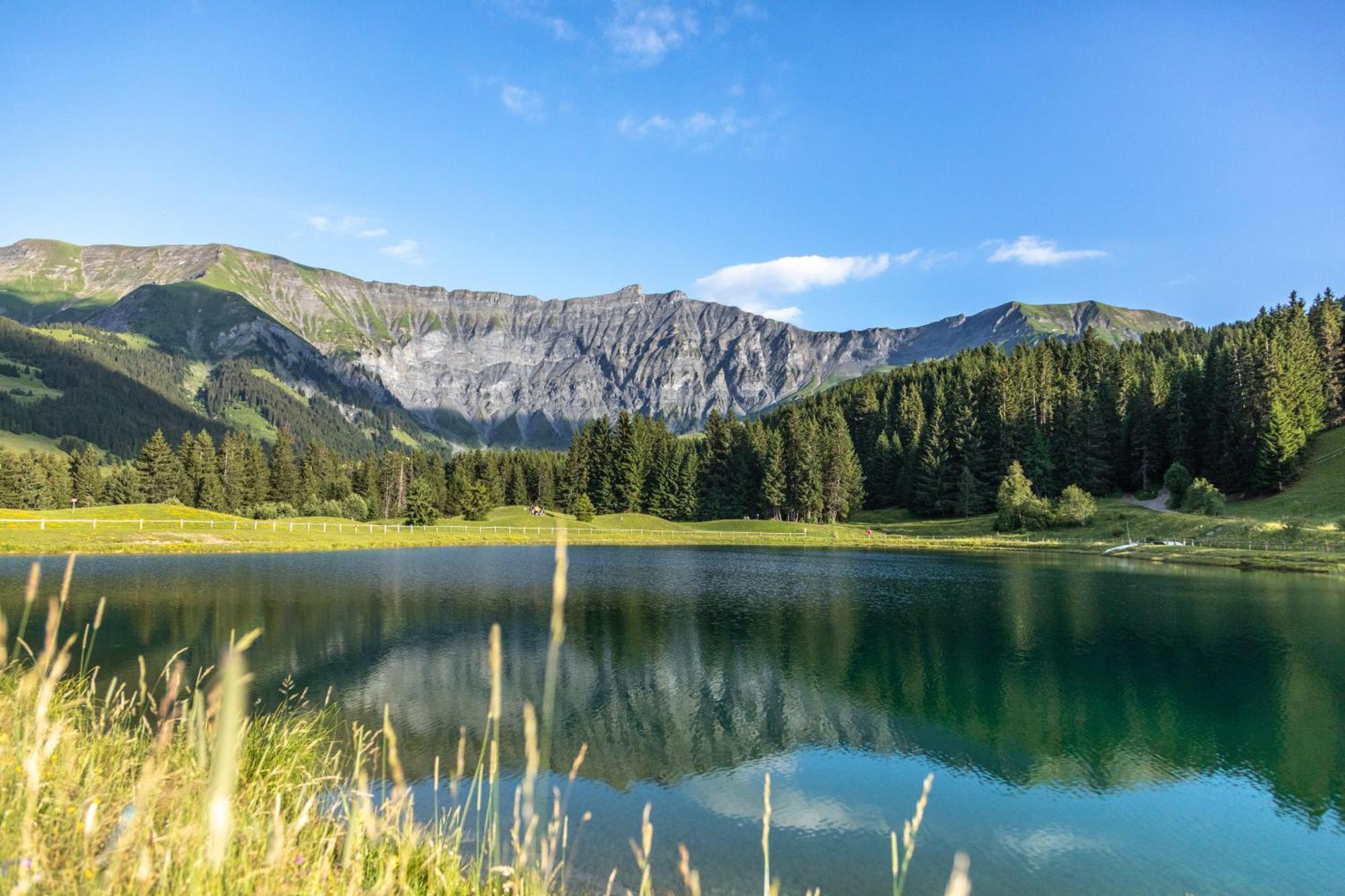 L'arboisie Megeve