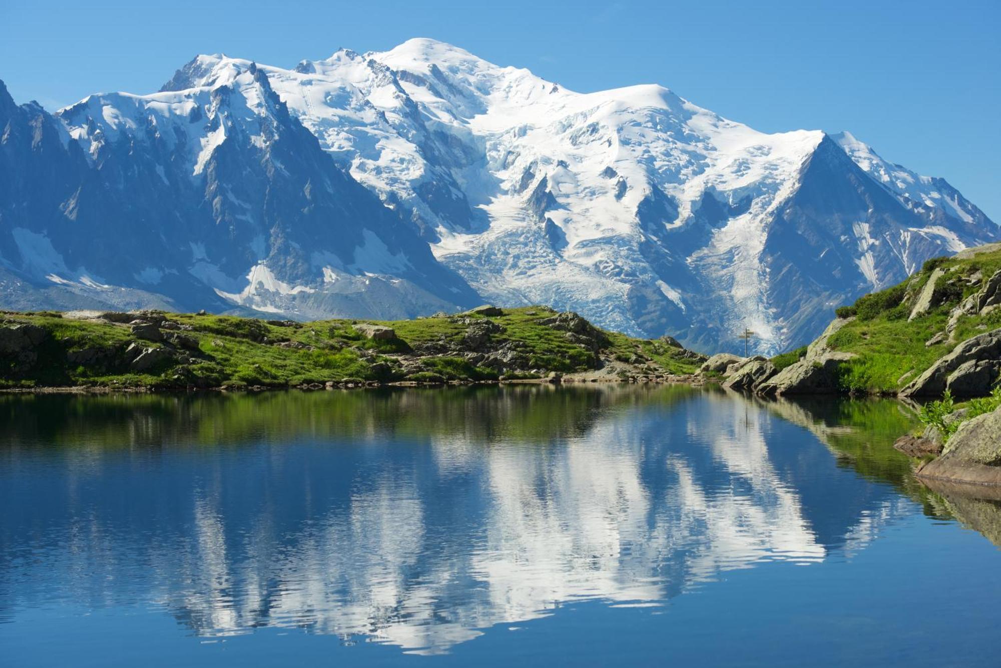 L'arboisie